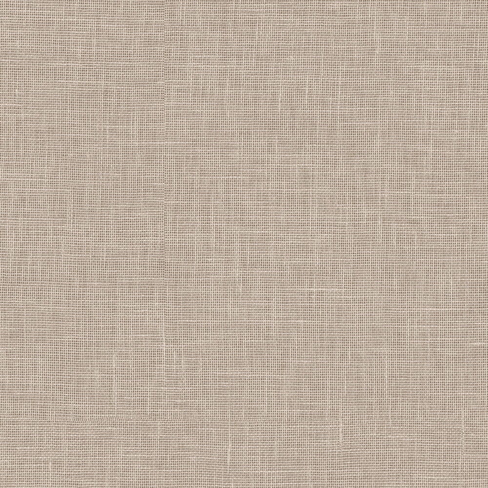 Koton Latte